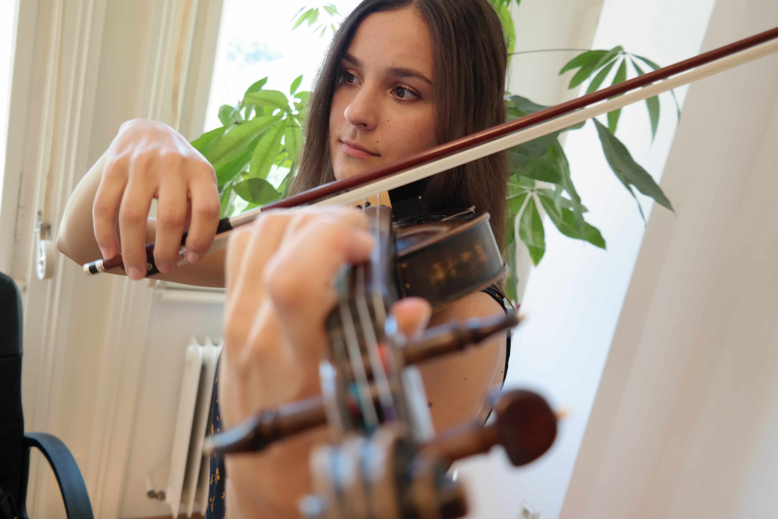 Violin Player